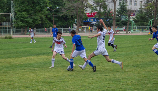 公牛队增强 公牛队增强