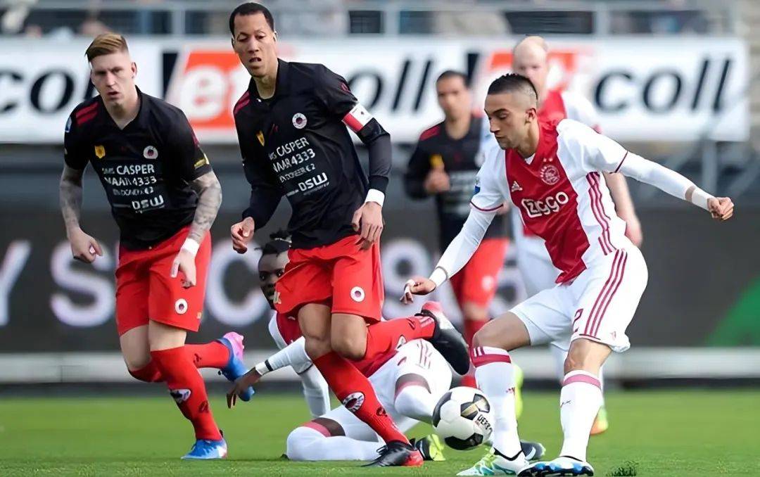 王哲林13 王哲林13