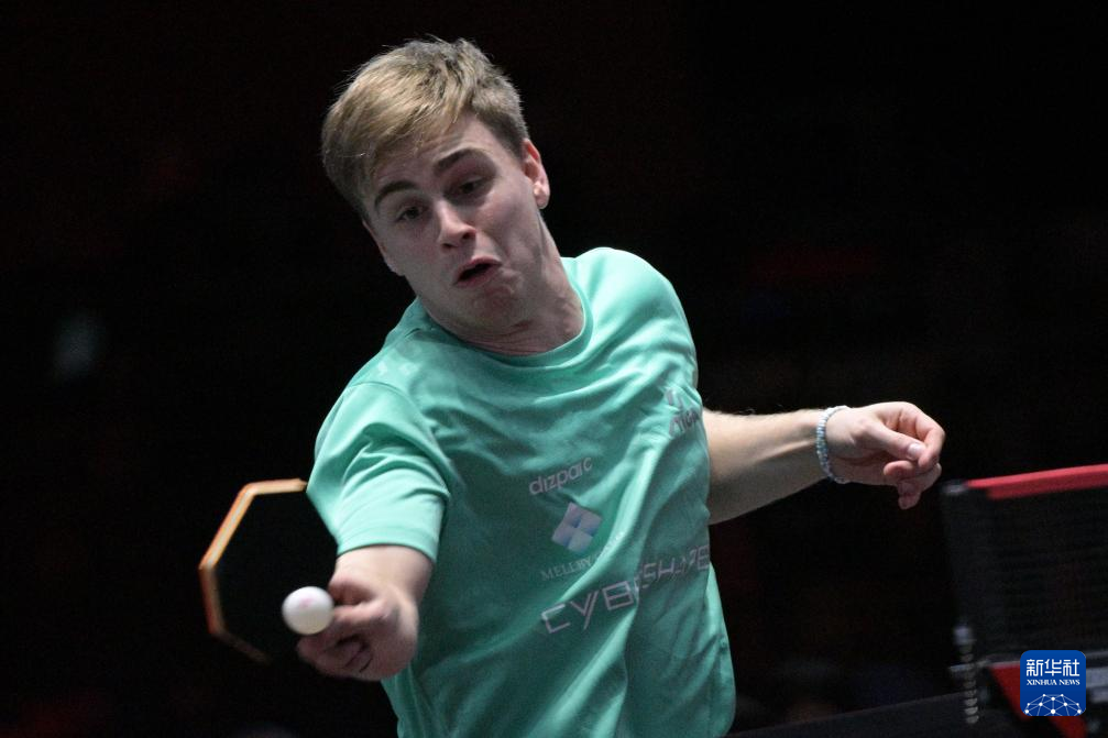 论的部分支 论的部分支